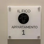 Il Fico - 1 - Lux & Design Made In Puglia New Opening